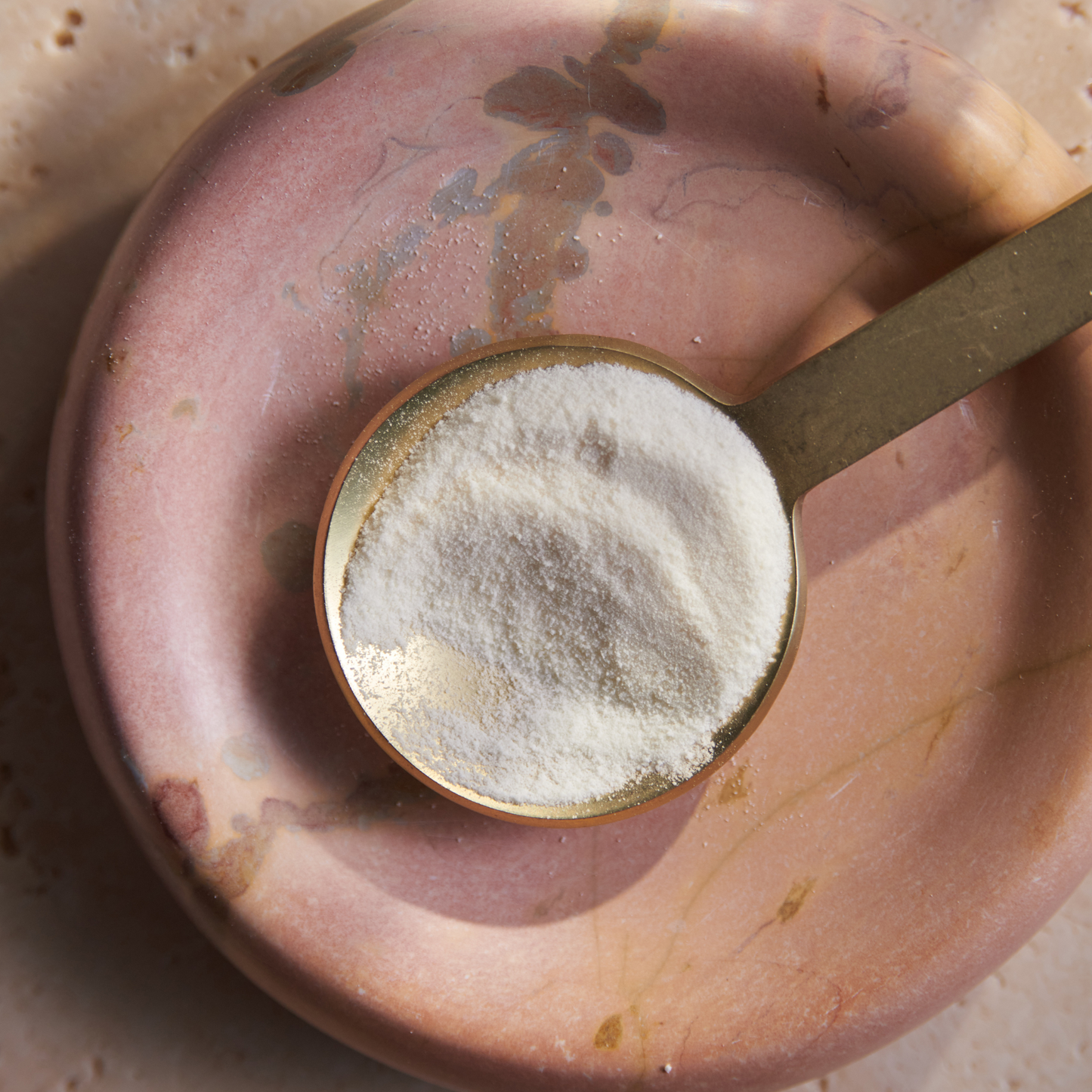 The Collagen Starter